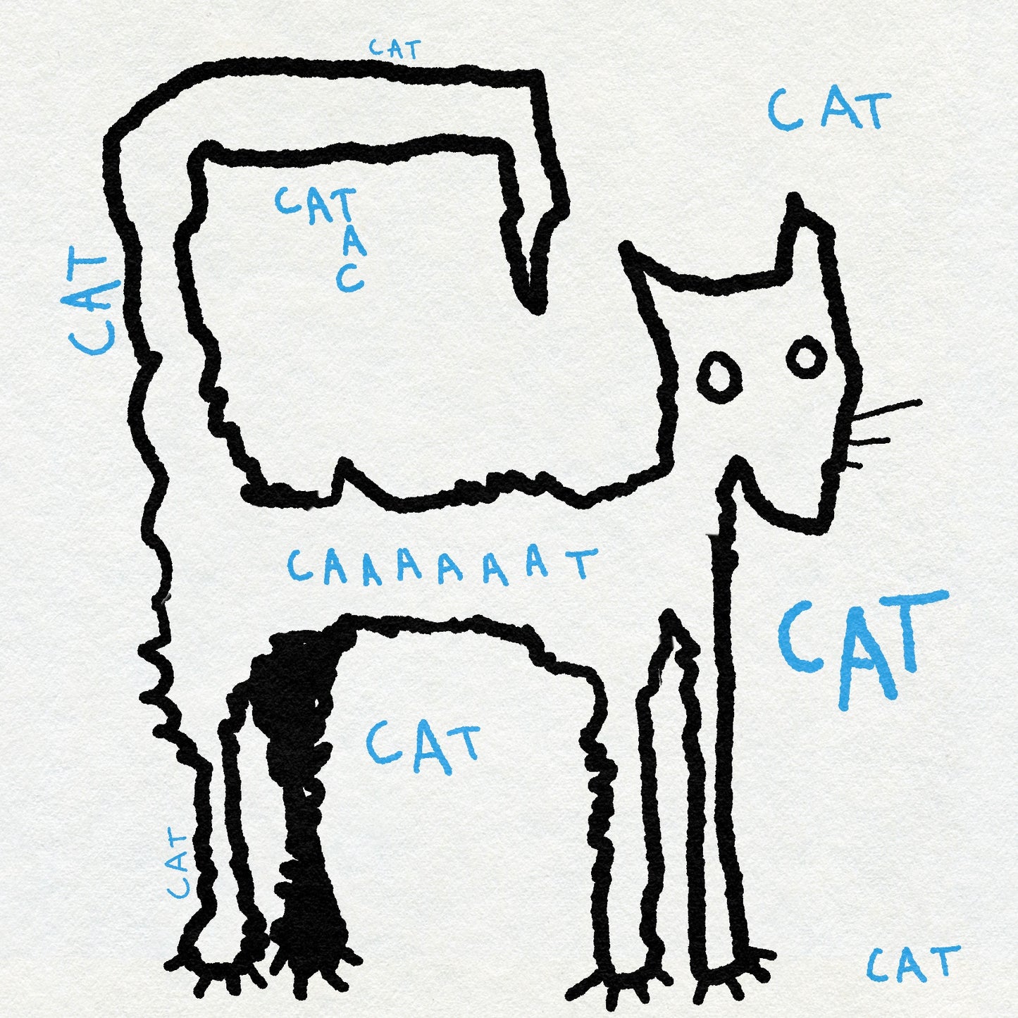 Ignorant style drawing of a cat in black ink with text labels in blue on a white background