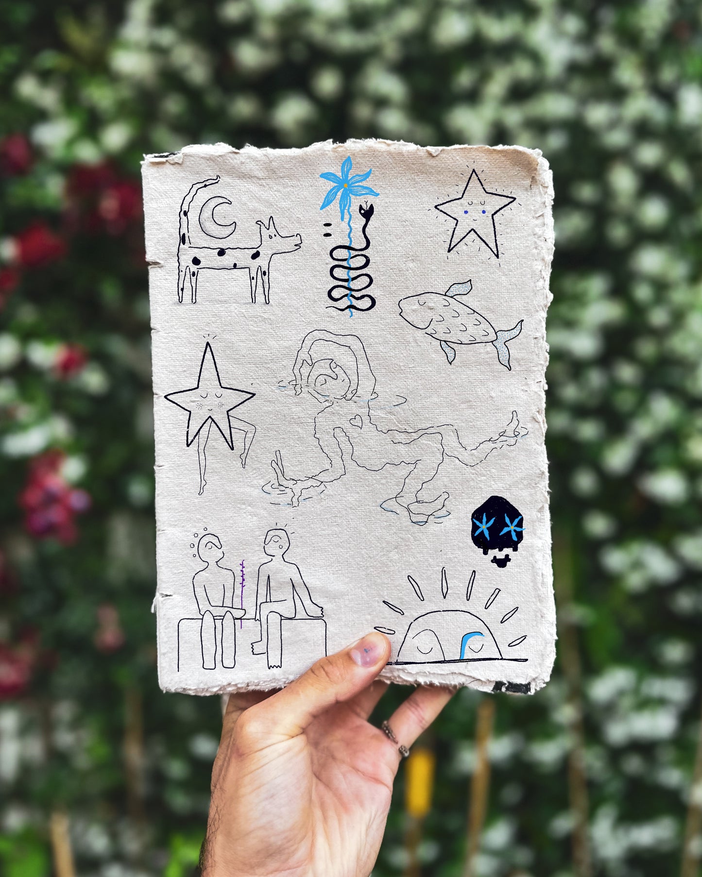 Hand holding a piece of paper with drawings against a blurred green background. The fineline drawings include a person floating in water, a star with a face, a rising sun with a face and a fish.