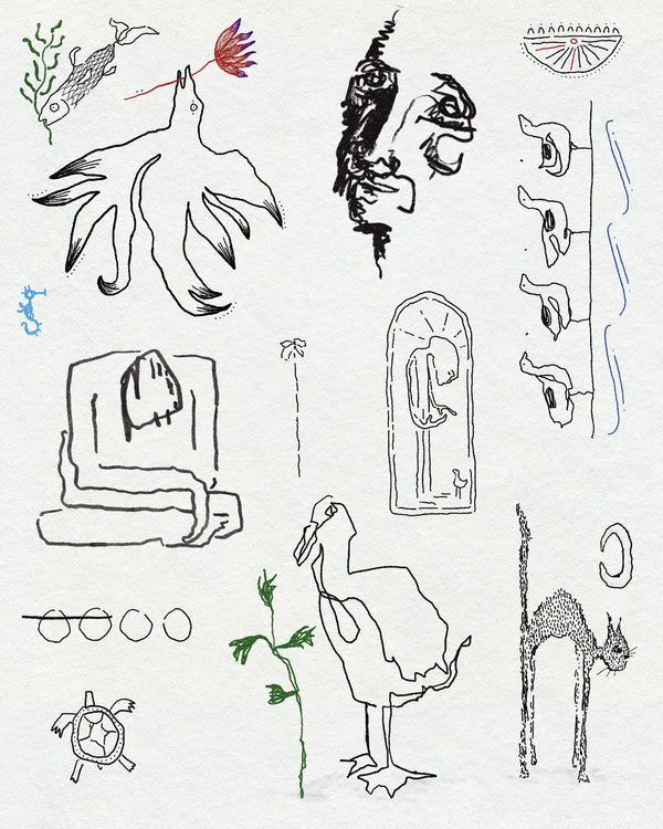 Birds, Bird with flower, Duck, cat and more
