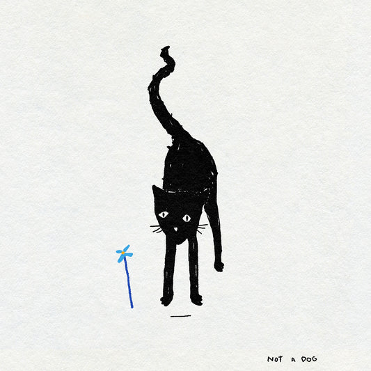 Black cat textural illustration with a blue flower on a white background