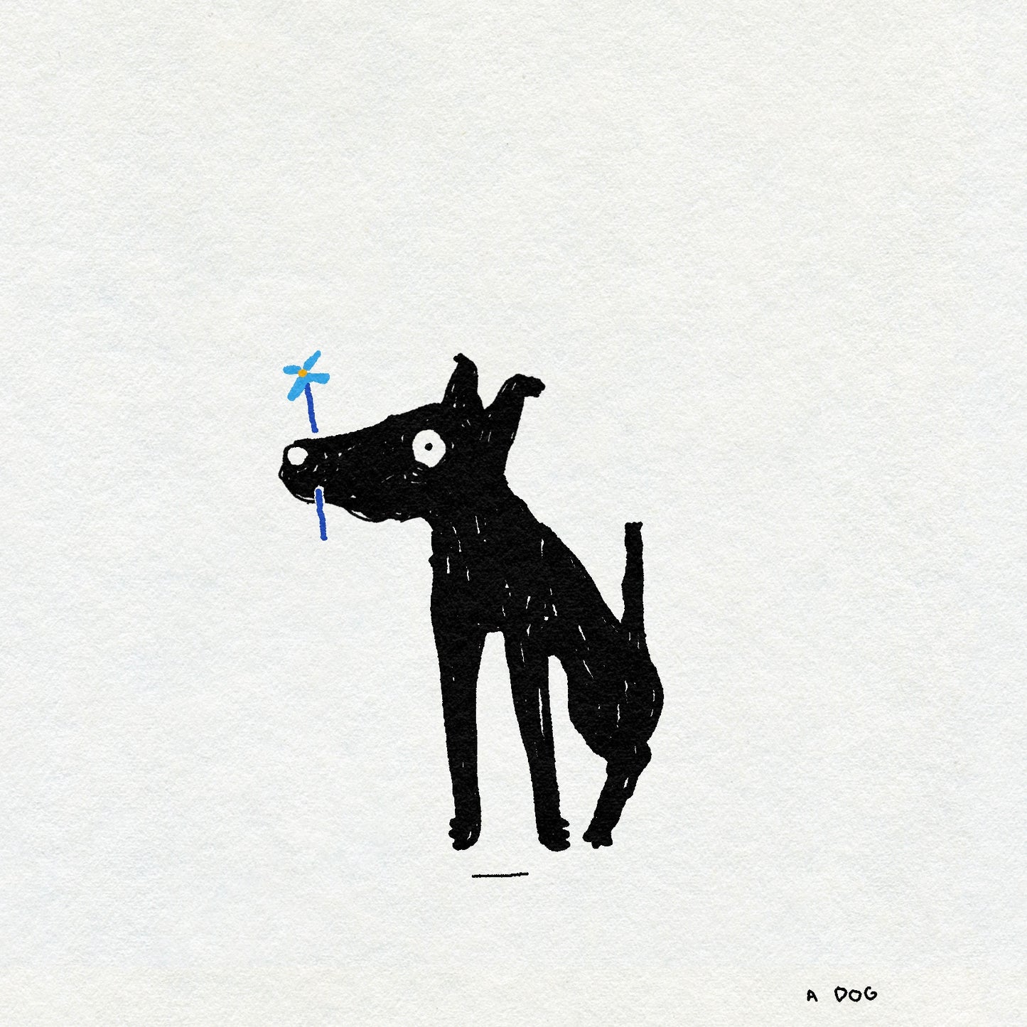A textural drawing of a black dog sitting with a dainty blue flower it their mouth. The text underneath says A DOG
