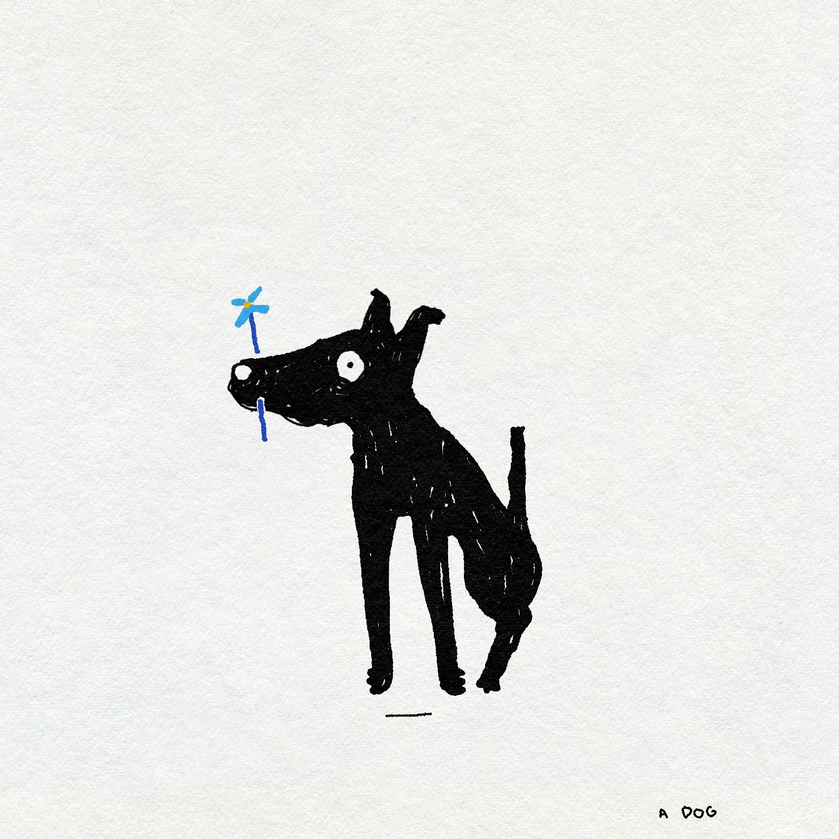 A textural drawing of a black dog sitting with a dainty blue flower it their mouth. The text underneath says A DOG