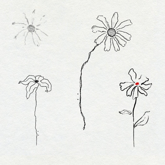 Black textural minimalist fine line drawings of daisies on a white background. One daisy has a red centre.