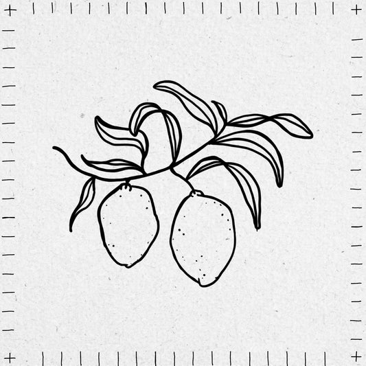 Fine line drawing of a branch with lemons on a textured white background