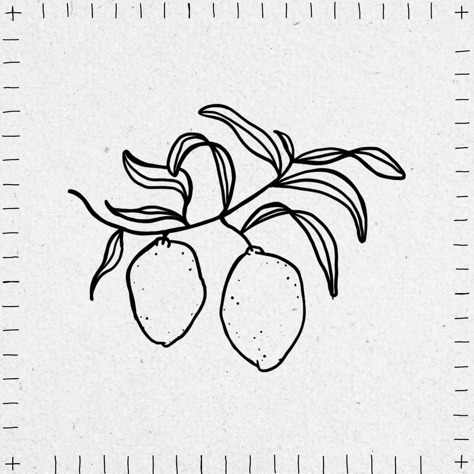 Fine line drawing of a branch with lemons on a textured white background