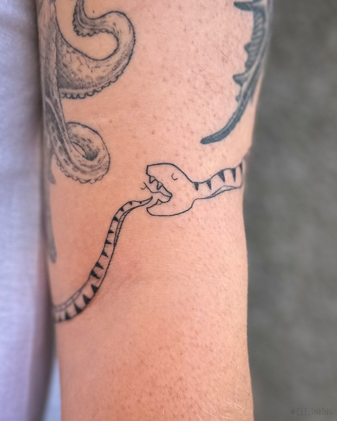 Snake tattoo wrapping around a bicep, drawn freehand around existing tattoos