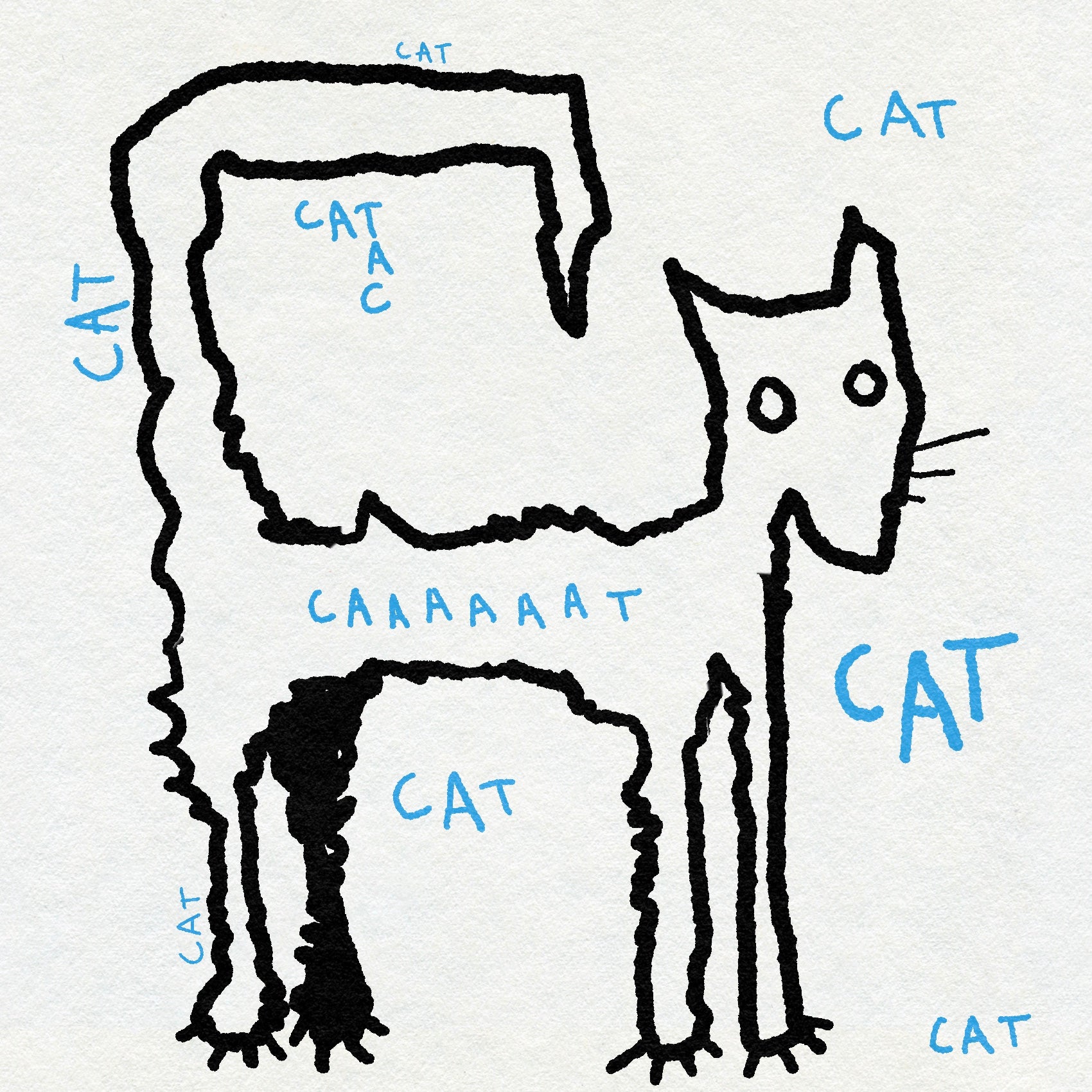Ignorant style drawing of a cat in black ink with text labels in blue on a white background