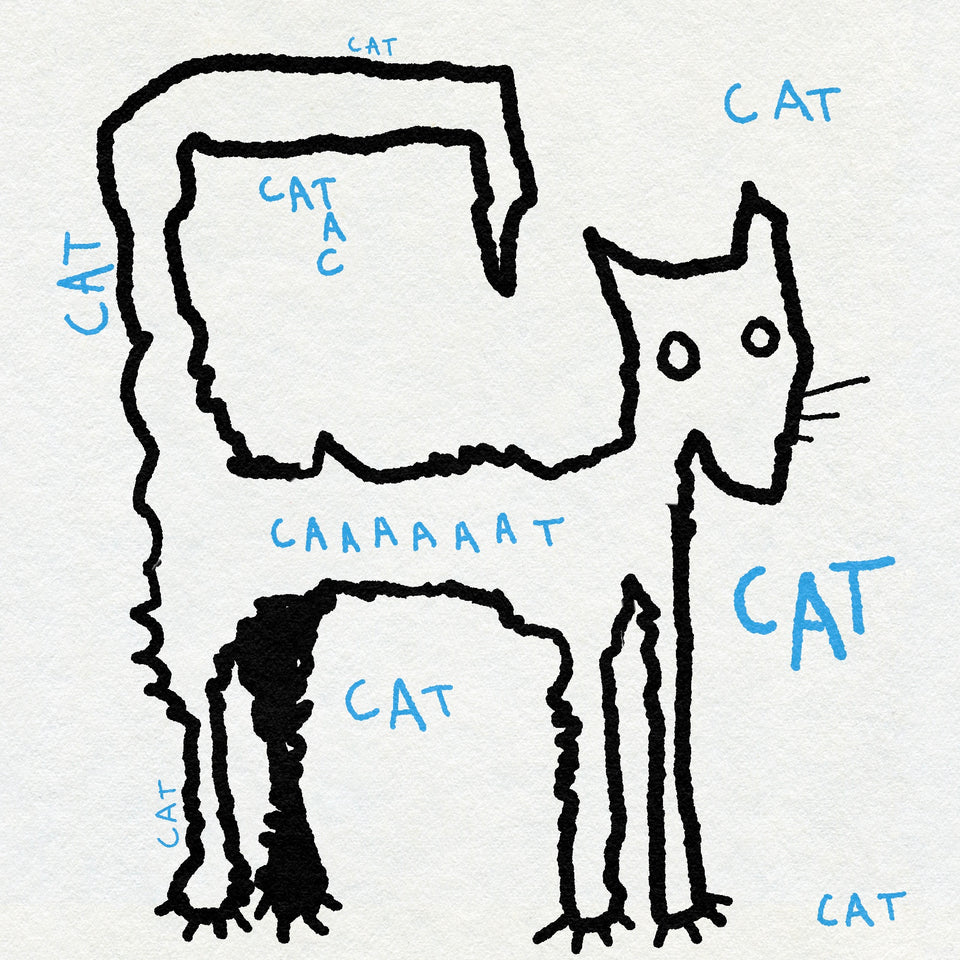 Ignorant style drawing of a cat in black ink with text labels in blue on a white background