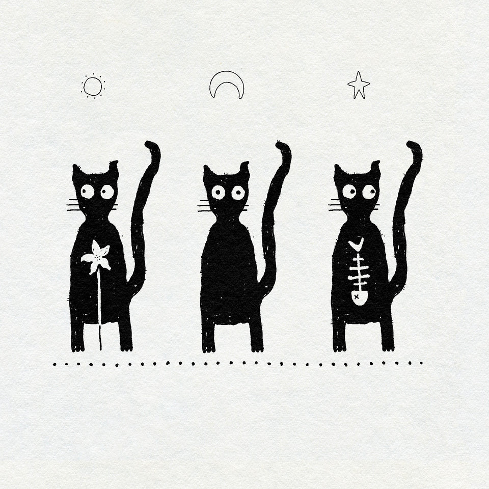 Drawing of three black cats with different symbols in their bellies on a white background. Fineline sun, moon and star above their heads. Flower and fish skeleton in their bellies.